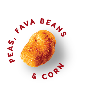 snack vs